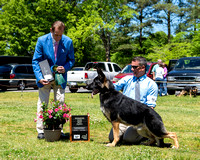 Winners Dog/Best Puppy #11  Luzak's Pure Michigan