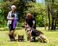 Winners Dog #25  Hickoryhill's Orion V Laslar Windfall