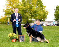 1st 15-18 Month Dog #240  Luzak's Pure Michigan
