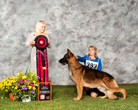 Select 6 GCH Millertime's American Gray Ghost of Falkrigia
