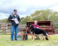 Best of Breed - CH Starrdogs Thorn of the Rose