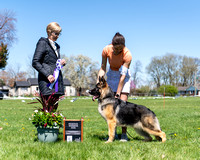 Reserve Winners Dog/Best Puppy - Macabre Kaleef's Maelstrom