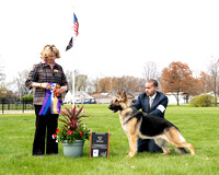German Shepherd Dog Assoc. of Central Indiana 4/7/24 PM - Judge Donna Conod