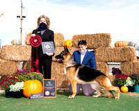 Maturity Victrix/Best In Maturity - CH Eagle Valley's Lady In Red (Mulligan, Wagner)