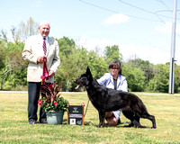 German Shepherd Dog Club of North Georgia 4/19/24- Judge Carmen Battaglia
