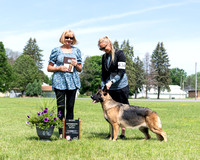 2nd Intermedidate Futurity Bitch - Caradoc's Wild Mountain Thyme