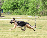 250419-214-DSZ_1363R