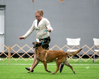 240520_209_DSZ_8940R-edit