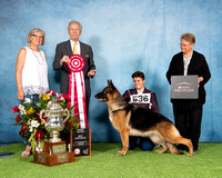 Best Opposite Sex - GCH CH Eagle Valley's Lady In Red