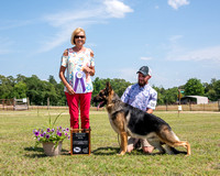 Reserve Winners Dog - Fame's Orion Blue Hunter