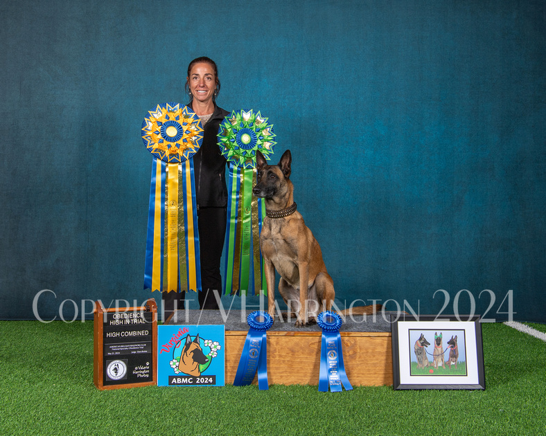 Valerie Harrington Photography | American Belgian Malinois Club 2024 ...