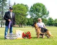 Reserve Winners Dog - Shamrock Falls of AnneIsle-Malibar