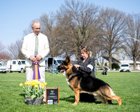 Best of Breed - GCH Kubistraum's Candy Man Can HT