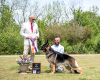 Best of Breed - GCH Peters' Elite No Crying In Baseball V Seamar