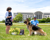 Reserve Winners Dog - Kiedrow's Foolin Around and Fell In Love