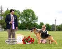 Reserve Winners Dog - Shamrock Falls of Anneisle-Malibar