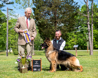 Best of Breed - CH Tacora's Tasia