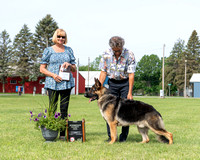 1st Intermediate Dog  Knight's Gambit Archery Summit