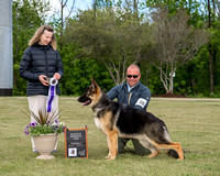 Reserve Winners Dog/Best Puppy -Signature's Ripped Blue Jeans