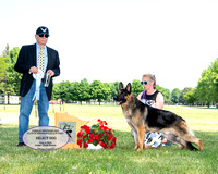 Select Dog - GCH Ethan of Oh-My