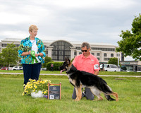 Best Puppy - Trinity's Heir To Yellowstone v Luzak