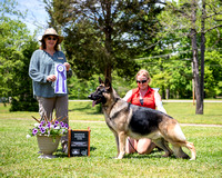 Reserve Winners Dog - Tacora's Star Spangled Banner