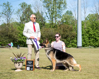 Reserve Winners Dog - Legacy's Redemption of Breauhausen