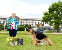 Best Opposite/Best of Winners - Trattino's Barefoot Blue Jean Night v Peter's Elite