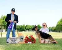 Winners Dog/Best of Winners/Best Puppy - Baskerville's Pete of AnneIsle-Malibar