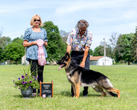 Reserve Futurity Dog - Ch Trinity's Heir To Yellowstone v Luzak