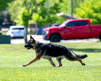250510_508_DSZ_1867R