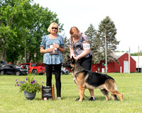 2nd Intermediate Futurity Dog - AnneIsle-Malibar's Galileo of Jimeni-Eklectic