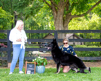 Select Dog - GCH She-Rock's Low Rider of Inquest