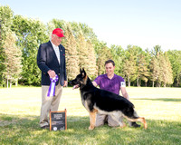 Reserve Winners Dog - Bloomsberrys Oakley