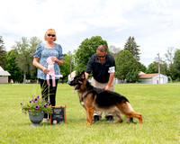 Reserve Maturity Dog - CH Tacora's Crane