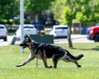 250510_508_DSZ_1872R