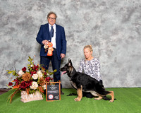 Best 4-6 Month Puppy - Windfall's Love Don't Cost A Thing of Class Act