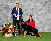 Best Opposite 4-6 Month Puppy - Luzak's I'm Your Huckleberry