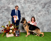 Best of Breed - GCH Norberge's C'Est Si Bon of Clayfield