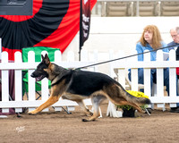 231026_303_ND6_0044R