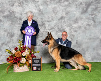 Reserve Winners Dog (Open Dog) - Trattino's Barefoot Blue Jean Night V Peters' Elite