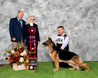 Select Exc 4 - AOE DAE AM/Can Sel Ex GCH Windfall's National Anthem