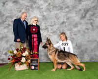 Select 13 - GCH CH Hylock's Ariel V Zukerdok