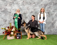 Best Puppy -  Trinity's Bunkhouse Singer (9-12 Dog)