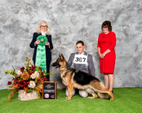 Best Opposite Puppy - Norberge Clayfield Annie Jimeni Eklectic (9-12 Bitch)