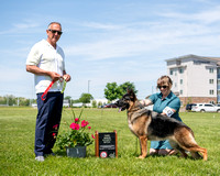 3rd Futurity Senior Bitch - GCH Covy-Tucker Hill's Maria Felix of Mega K-9