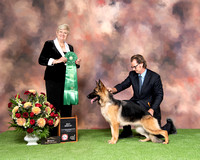 Best Bred-By - #416 Kenlyn Marquis' Monique v Reata
