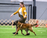 Breed - #85 GCH Belcol Narcastet