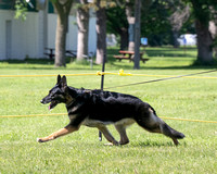 240601_309_DSZ_2733R