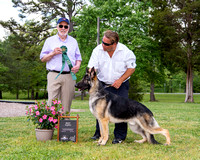 Reserve Winners Dog/Best Puppy #9  Ponca Hill Tantara's We Will Rock You